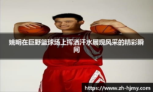 金年会